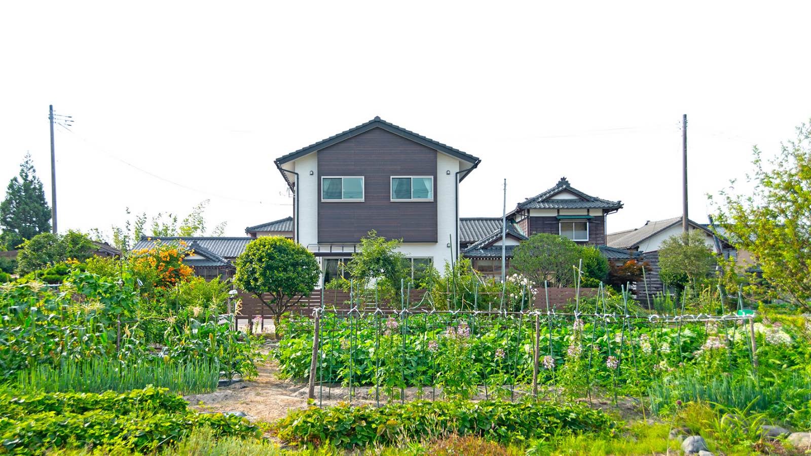 190329胎内市の家