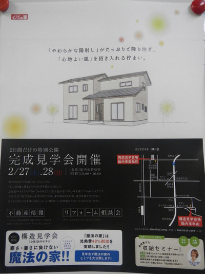 Photo_2